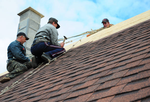 Professional Roofing Contractor in Gregory, TX